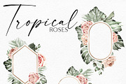Siesta Tropcal set, an Object Illustration by Olga Koelsch (Thumbnail 3 of 9)
