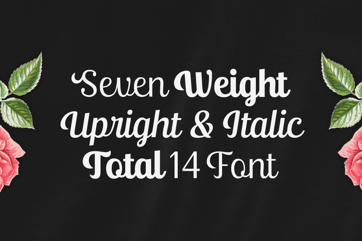 Ralsteda Font Family, a Script Font by Seniors (Photo 7 of 18)