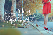 Alisaserif TypeFace, a Serif Font by alphadesign (Thumbnail 3 of 6)