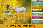 Flowers and Grass Overlays, an Object Graphic by MixPixBox (Thumbnail 1 of 6)