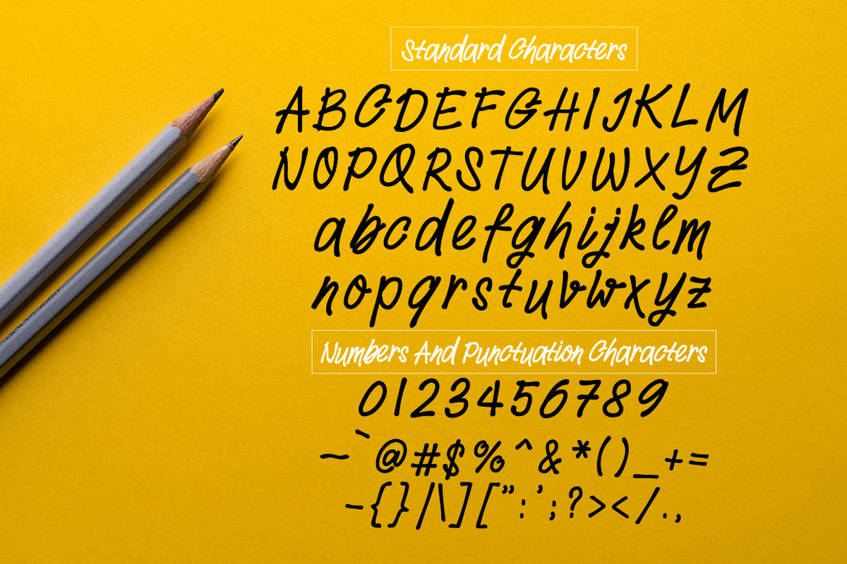 Withdrew - Modern Script Font preview 2