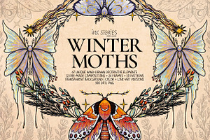 Winter Moths & Evergreen Botanicals, a Seasonal Illustration by Ink Stories