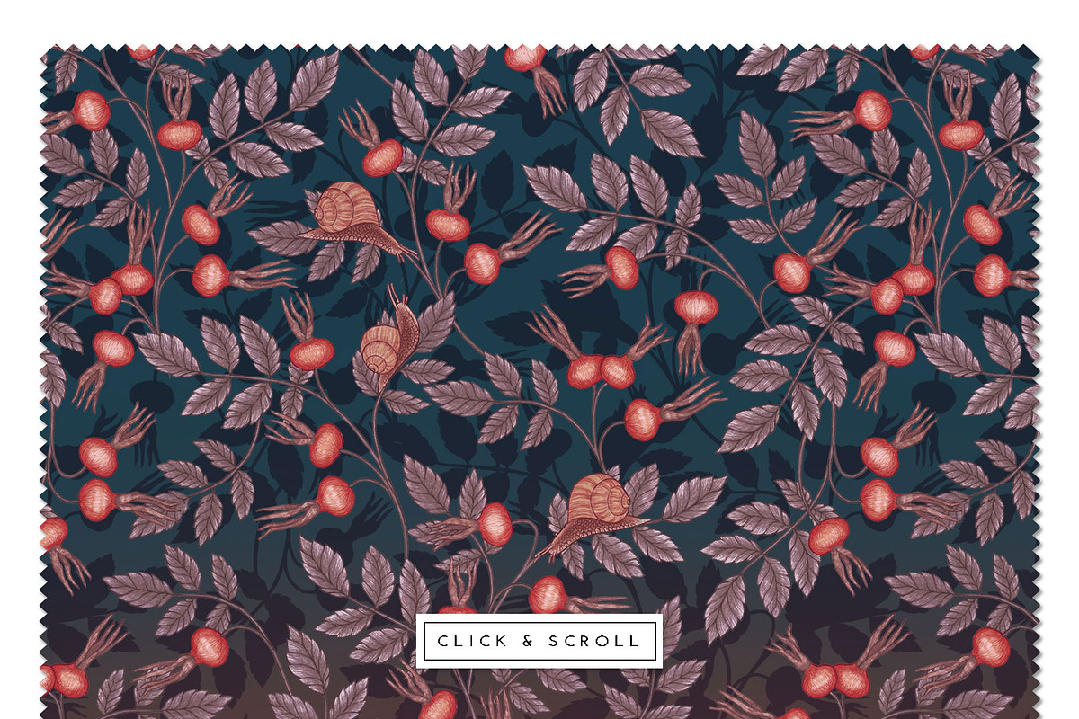 PHYSALIS GARDEN — Botanical Patterns, a Decorative Illustration by Liiafis (Photo 9 of 17)