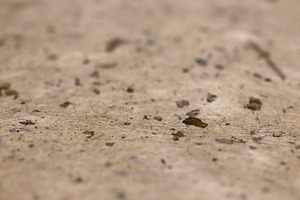 Close-up of a textured paper texture surface with small debris., a Texture Graphic by Textures & Backgrounds