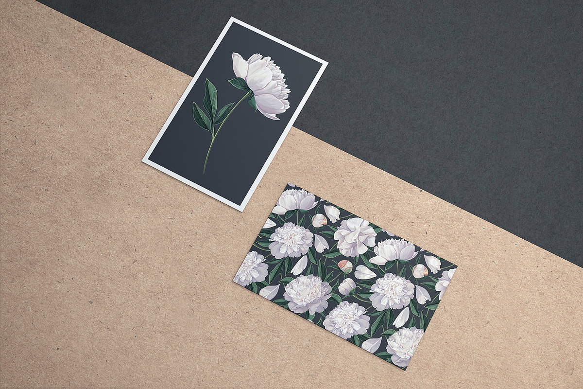 White Realistic Peonies Set, a Decorative Illustration by MarynaPetrovska (Photo 14 of 16)