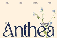 CS Anthea Stamp