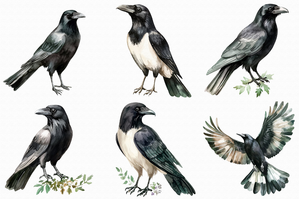 Raven watercolor clipart, an Illustration by Libby Wishes (Photo 3 of 4)