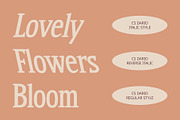CS Dario – Bold Font, a Serif Font by Craft Supply Co. (Thumbnail 2 of 8)