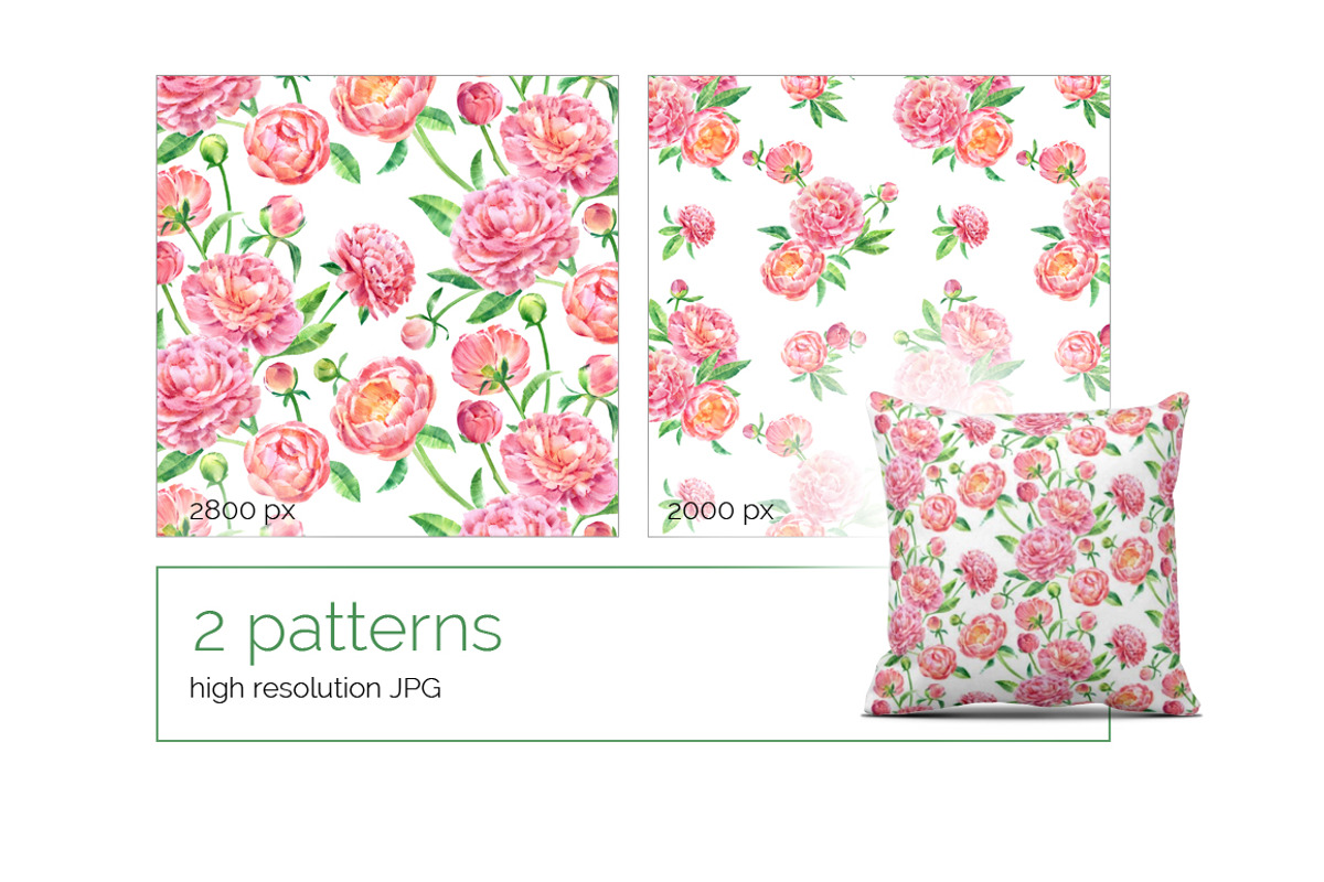 Watercolor peonies, an Illustration by ognivo (Photo 4 of 5)
