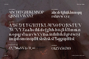 Baigop Modern Serif Font, a Serif Font by Perfectype (Thumbnail 8 of 8)
