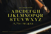 Vagins Vintage Serif Font, a Serif Font by Graphicxell (Thumbnail 8 of 8)