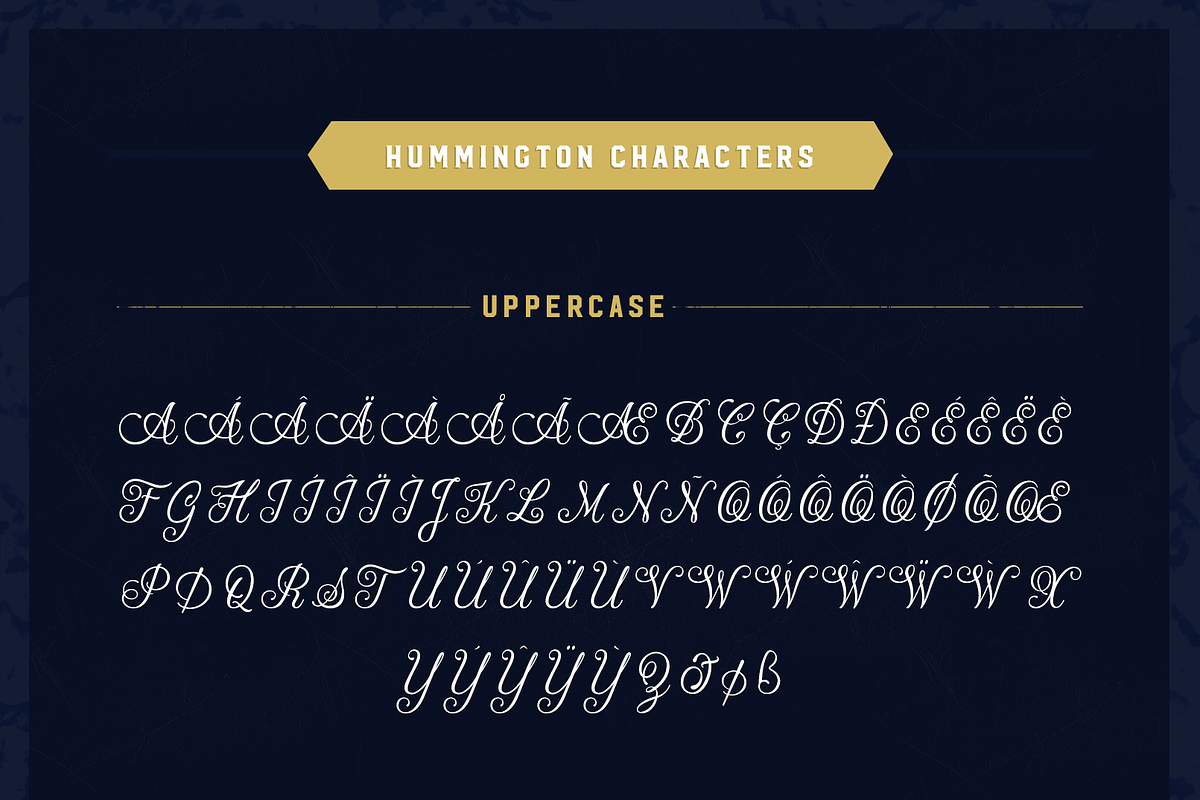Hummington, a Script Font by Zeune Type Foundry (Photo 13 of 15)