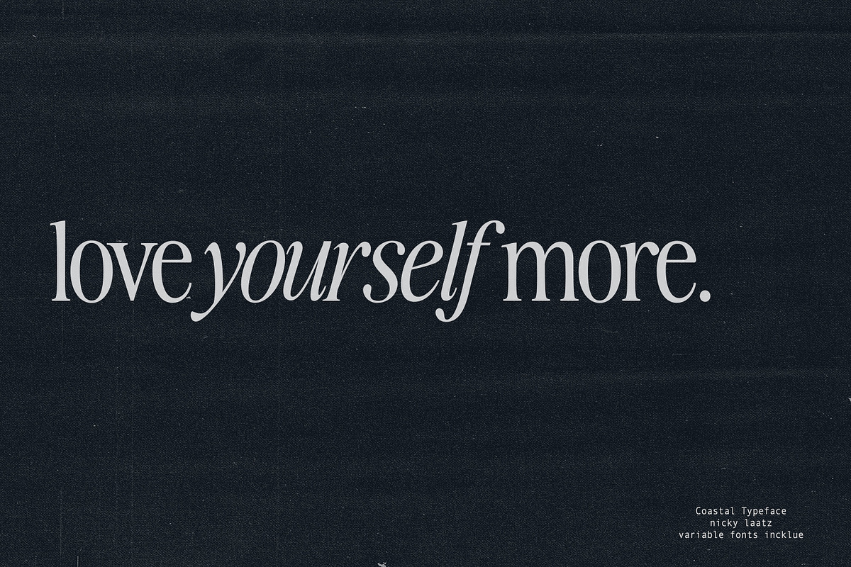 The Awesome Serif Family (32 Fonts), a Serif Font by Nicky Laatz (Photo 39 of 42)