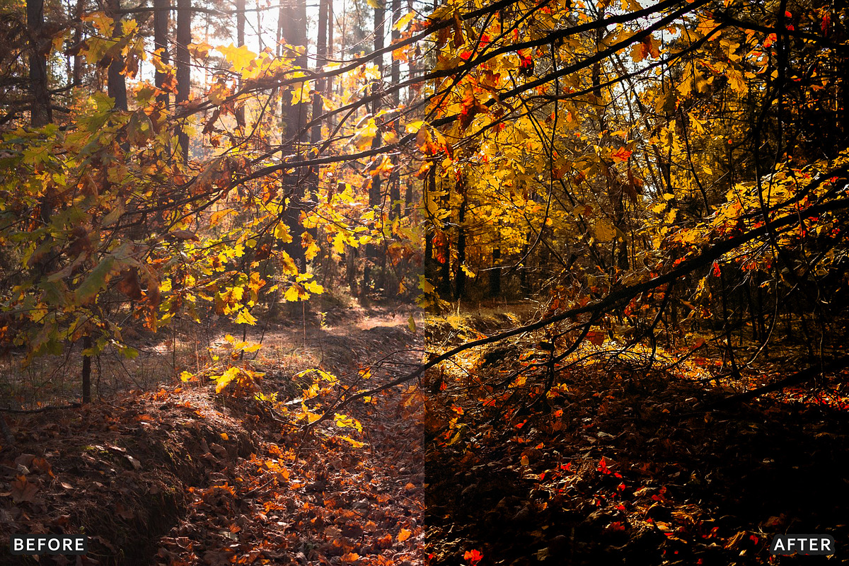 Misty Autumn Forest Presets, a Preset Add-On by AAA Presets (Photo 12 of 13)