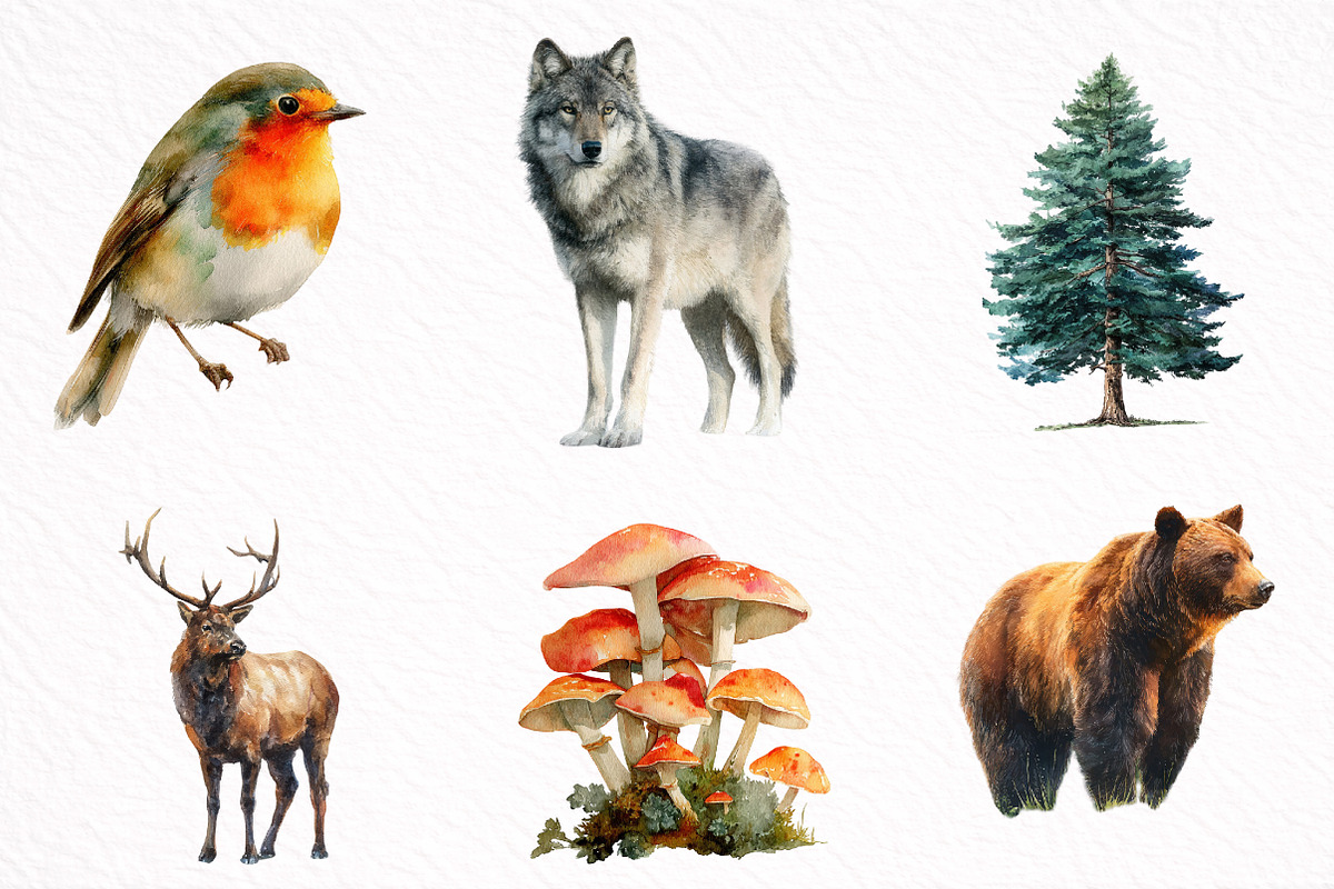 Watercolor Woodland Animals Clipart, an Illustration by DreamArtGraphic (Photo 4 of 8)