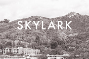 Quick B+W, an Action Add-On by Little Type House (Thumbnail 11 of 11)