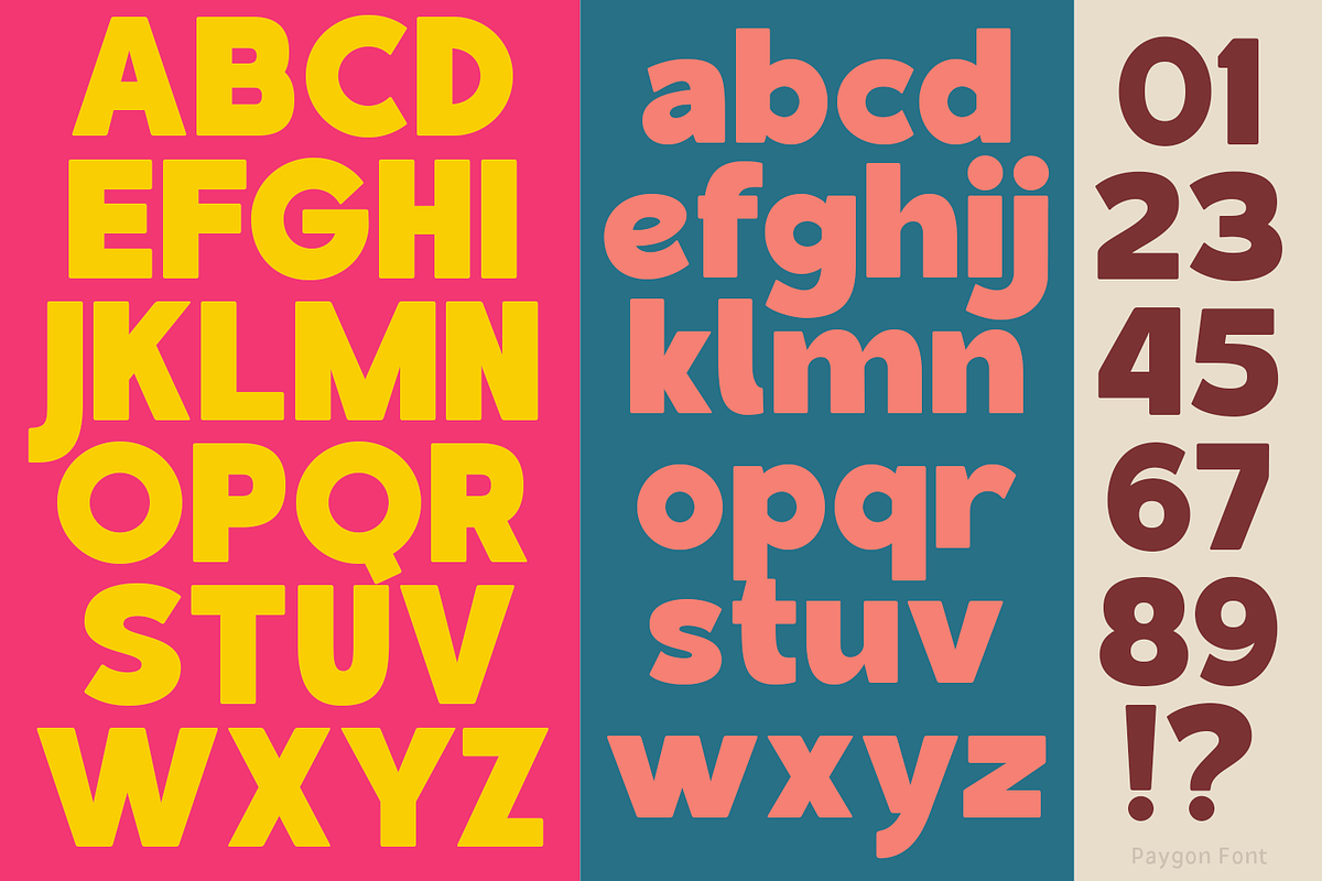 Paygon Sans Family, a Sans Serif Font by TypeClassHeroes (Photo 3 of 15)