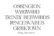 Annex — Display Font, a Serif Font by Spence Type (Thumbnail 3 of 6)