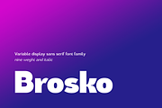 Brosko, a Sans Serif Font by Larin Type Co. (Thumbnail 1 of 10)