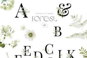 Forest - A Wild Greenery Set