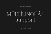 Ragille MODERN LIGATUR TYPFACE, a Serif Font by BOOSH Studio (Thumbnail 12 of 12)