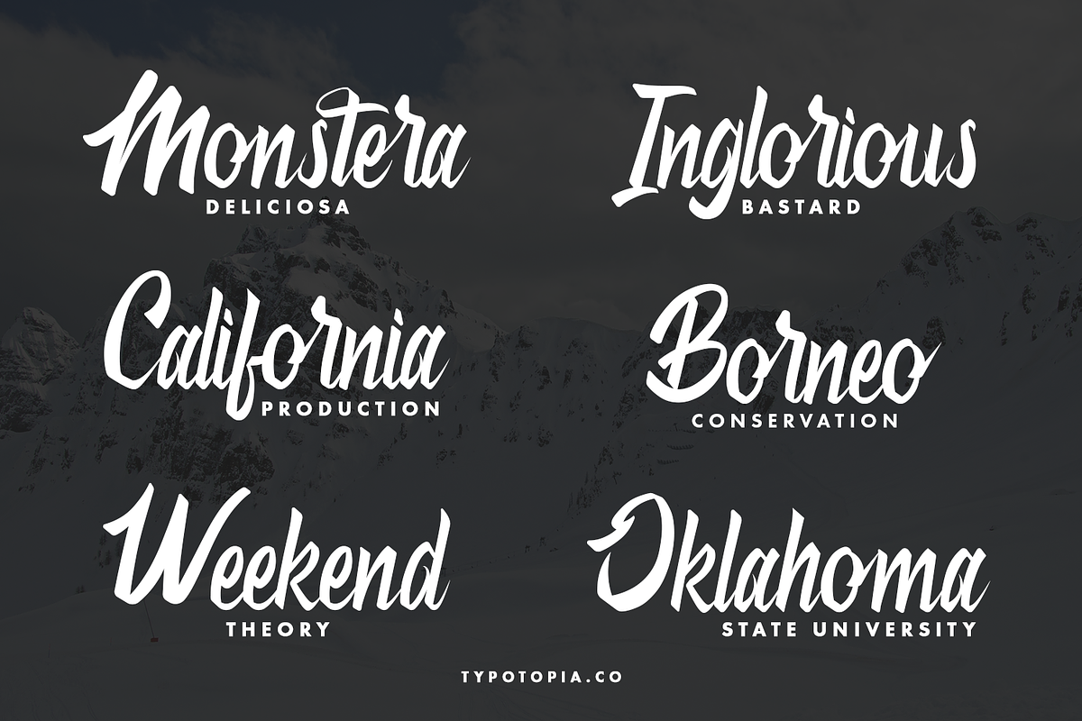 Antheme Script Typeface, a Script Font by edukka (Photo 9 of 10)