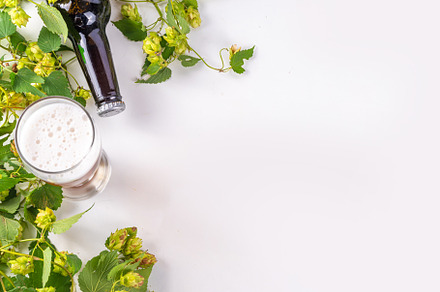 Beer bottle and glass with hop cones, a Food & Drink Photo by Rimma