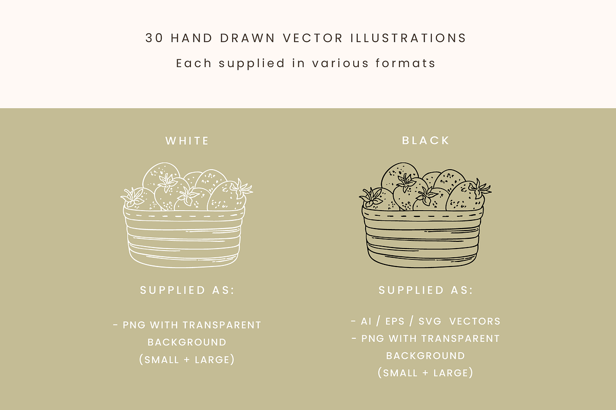 Farmer's Market Vector Illustrations, a Decorative Illustration by Emma Webb Studio (Photo 2 of 8)