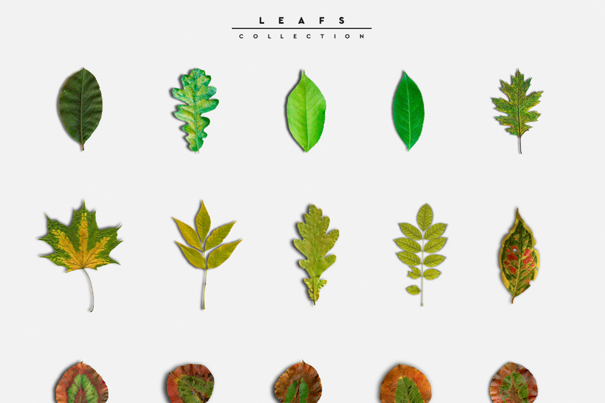Big Pack Scene Generator, a Cups & Container Mockup by Mila (Photo 23 of 44)