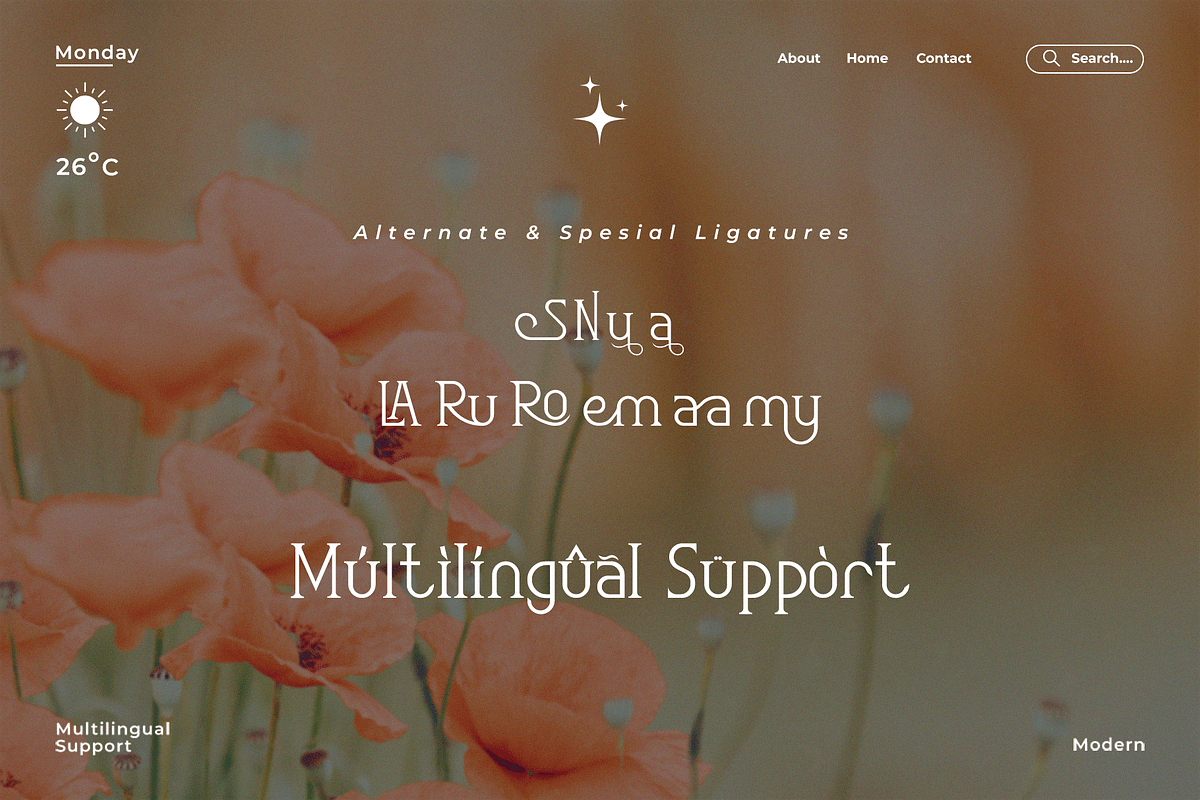 Rosemary - A Classy Serif Font, a Serif Font by overlaytemplates (Photo 5 of 5)