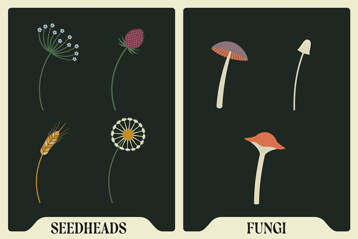 Affinity Flower & Foliage Brushes, a Brush Add-On by The Artifex Forge (Photo 15 of 16)