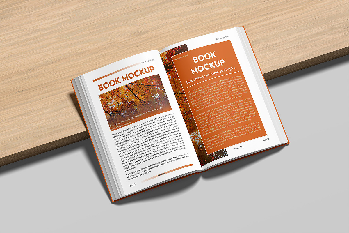 Open Book Mockup, a Books & Magazine Mockup by graphicsecond (Photo 5 of 7)