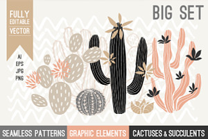 PASTEL Cactuses & Succulents BIG Set