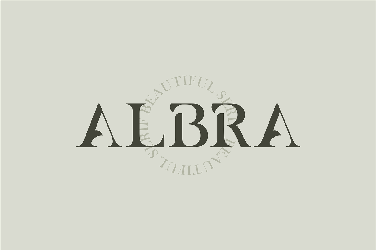 ALBRA - A Beautiful Serif, a Serif Font by Vroz Studio (Photo 5 of 8)