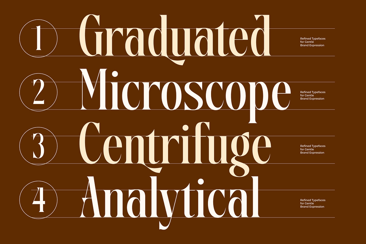 Disriete Modern Serif Display, a Serif Font by AmorfaType (Photo 5 of 11)
