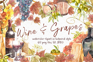 Wine and grapes set illustrations
