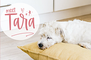 Stardom | Handwritten Font, a Script Font by KA Designs (Thumbnail 3 of 9)