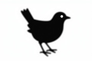 Bird Silhouette design bundle, an Illustration by BIPLOB EXPERT (Thumbnail 7 of 13)