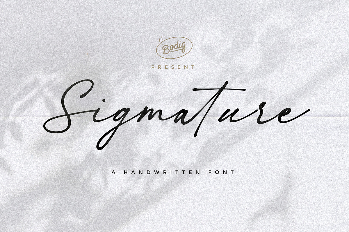 Sigmature Font, a Font by BodigStd (Photo 1 of 8)