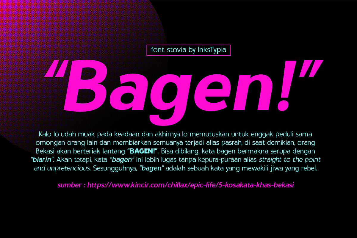 Stovia, a Sans Serif Font by INKsTYPIA (Photo 6 of 7)