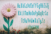 Mrs. Petunia, a Sans Serif Font by Treich Design (Thumbnail 1 of 4)