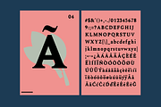 Acelga, a Serif Font by yaisalinas (Thumbnail 2 of 15)
