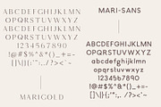 Marigold - Font duo and logo set, a Serif Font by Tropical Type (Thumbnail 9 of 11)
