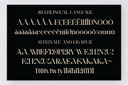 Aerisa, a Serif Font by Design House (Thumbnail 3 of 3)