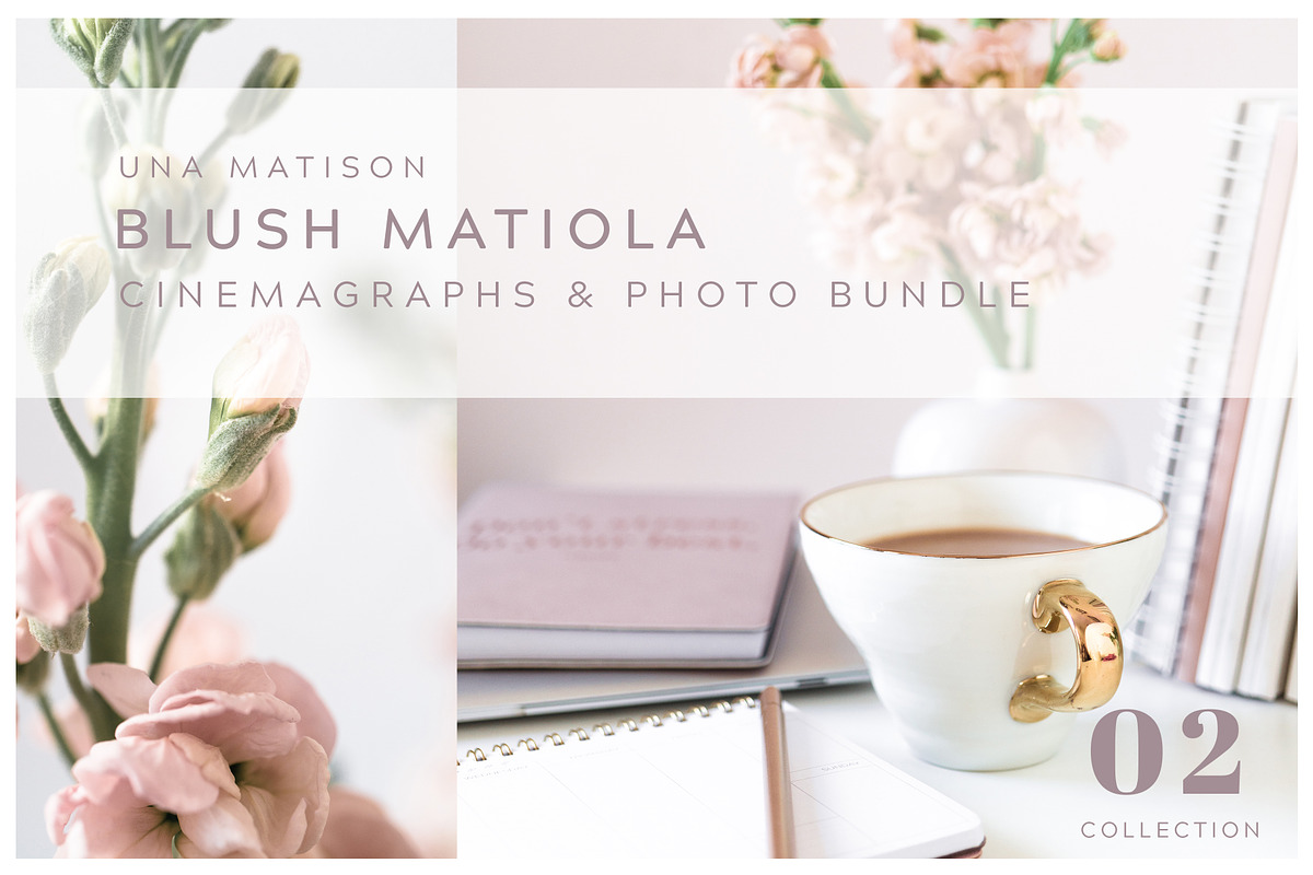 Mega Bundle, a Social Media Template by Una Matison (Photo 6 of 10)