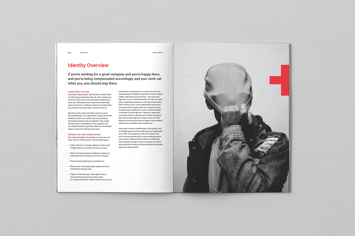 Brand Guidelines, a Brochure Template by BOXKAYU (Photo 5 of 15)