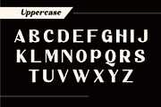 Alestair - Sans Serif Display Font, a Sans Serif Font by Rishsketch (Thumbnail 9 of 15)