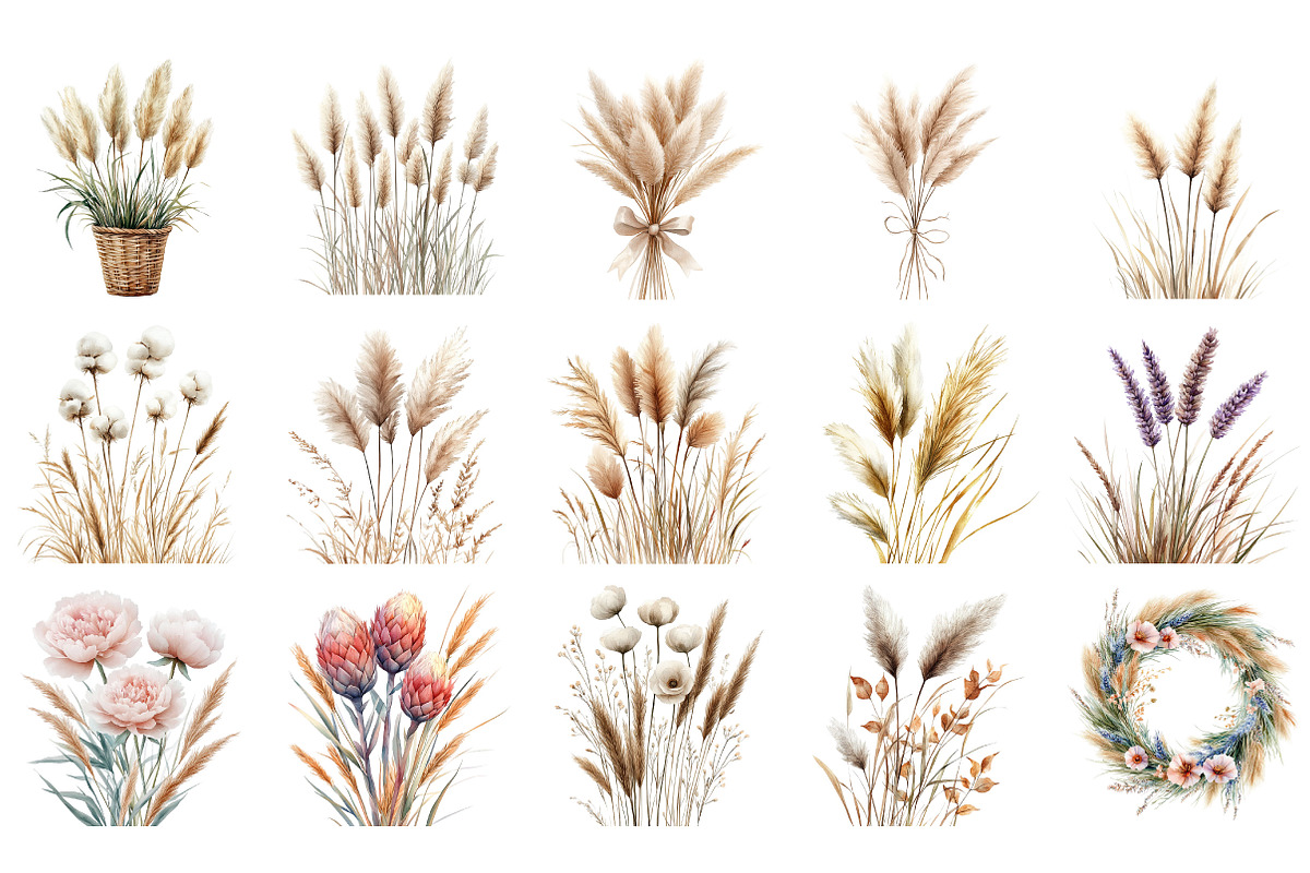 Watercolor Pampas Grass Clipart Png, an Illustration by Designking (Photo 2 of 5)