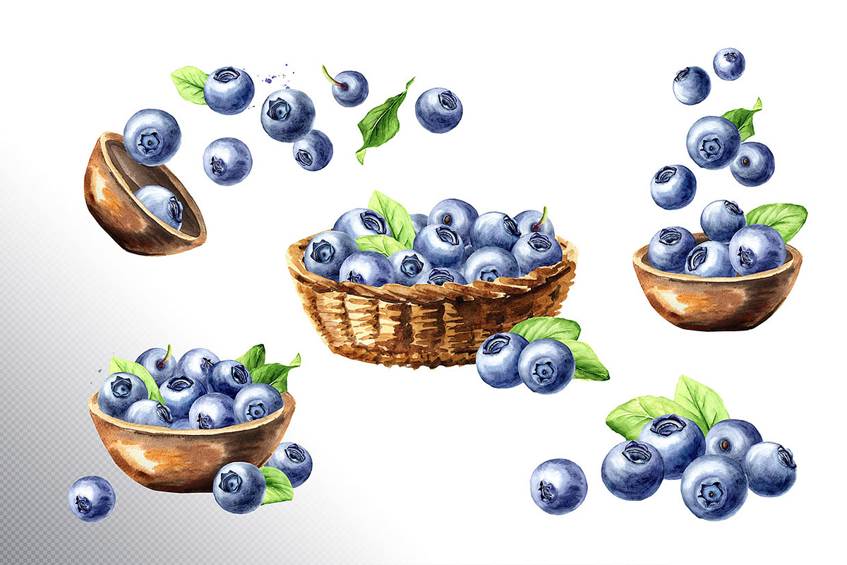 Blueberry. Watercolor collection, a Food Illustration by Daria Ustiugova (Photo 10 of 25)