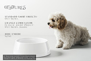 Pet Bowls PNG & PSD Mockups, a Product Mockup by mock-ups (Thumbnail 3 of 14)